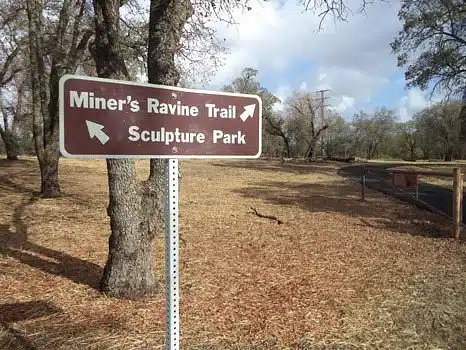 Miners Ravine Trail is a great hike to treat depression