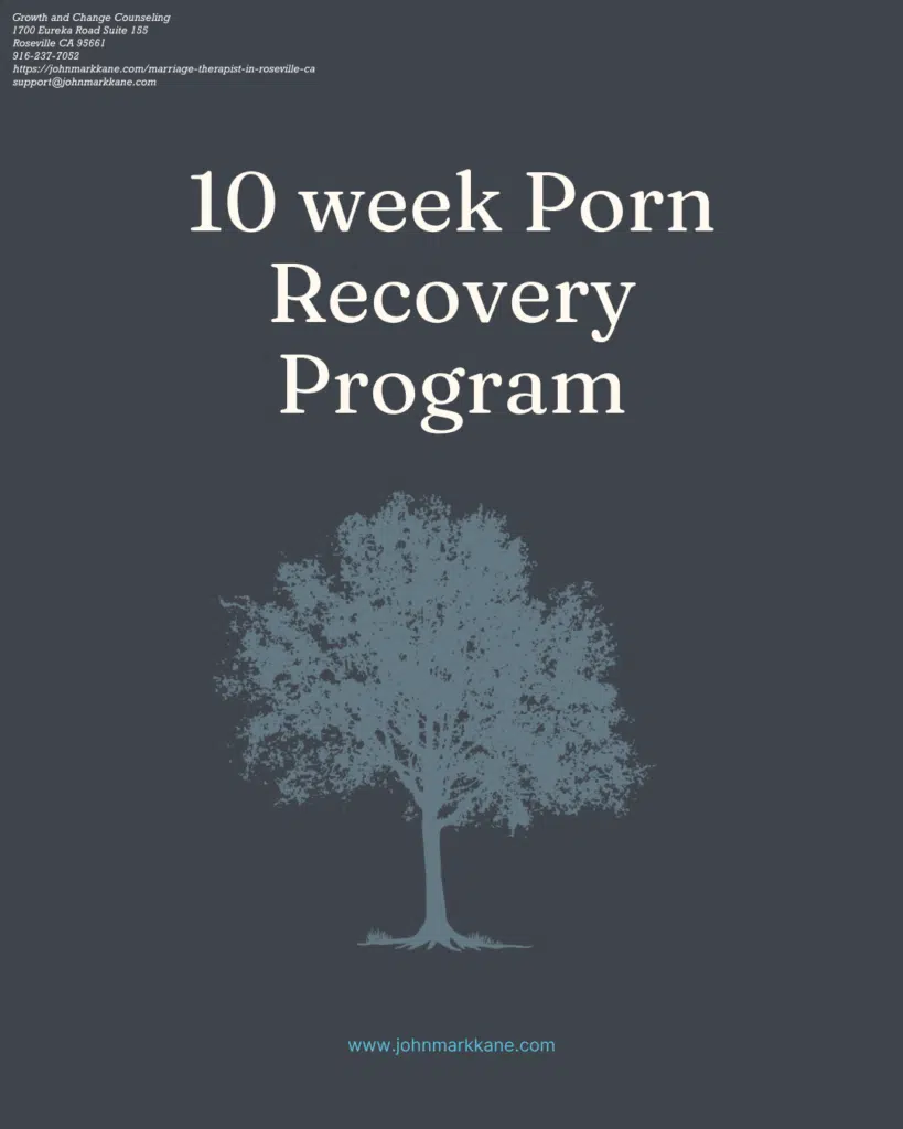 10 Week Porn Recovery Program in Roseville CA