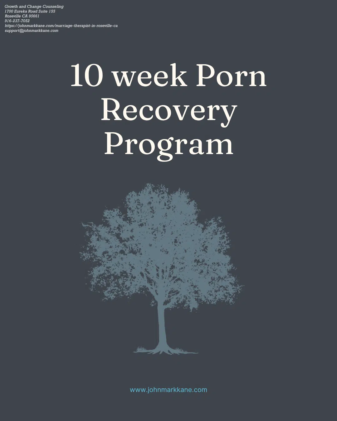 10 Week Porn Recovery Program in Roseville CA